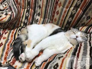 ��Ʋ����Х��顦����֥���ֲڲСݣȣ��Σ��£ɡ�(����֥ϥʥ�) �����3��3���̥�֥�����3��3�� 15��21ʬ�μ̥�֥�����