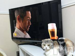 ��Ʋ����Х��顦����֥���ֲڲСݣȣ��Σ��£ɡ�(����֥ϥʥ�) �����3��19���̥�֥�����3��19�� 02��49ʬ�μ̥�֥�����