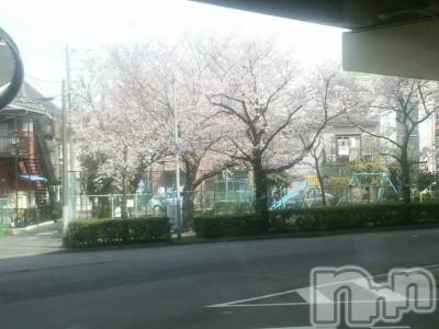 ��Ʋ����Х��顦����֥���ֲڲСݣȣ��Σ��£ɡ�(����֥ϥʥ�) �����3��27���̥�֥�����3��27�� 00��31ʬ�μ̥�֥�����