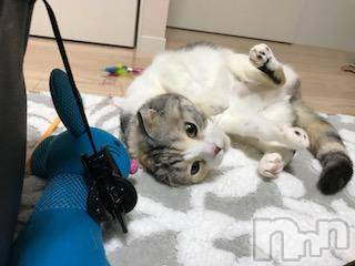 ��Ʋ����Х��顦����֥���ֲڲСݣȣ��Σ��£ɡ�(����֥ϥʥ�) �����4��6���̥�֥�����4��6�� 14��11ʬ�μ̥�֥�����