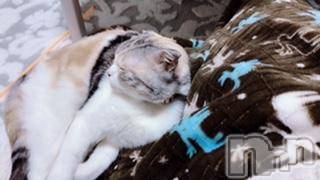 ��Ʋ����Х��顦����֥���ֲڲСݣȣ��Σ��£ɡ�(����֥ϥʥ�) �����4��7���̥�֥�����4��7�� 14��07ʬ�μ̥�֥�����