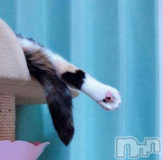 ��Ʋ����Х��顦����֥���ֲڲСݣȣ��Σ��£ɡ�(����֥ϥʥ�) �����4��11���̥�֥�����4��11�� 02��05ʬ�μ̥�֥�����