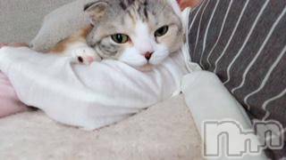 ��Ʋ����Х��顦����֥���ֲڲСݣȣ��Σ��£ɡ�(����֥ϥʥ�) �����5��7���̥�֥�����5��7�� 19��29ʬ�μ̥�֥�����