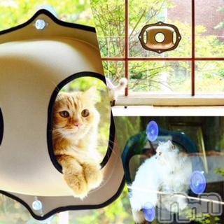 ��Ʋ����Х��顦����֥���ֲڲСݣȣ��Σ��£ɡ�(����֥ϥʥ�) �����5��13���̥�֥�����5��13�� 20��32ʬ�μ̥�֥�����