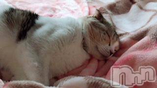 ��Ʋ����Х��顦����֥���ֲڲСݣȣ��Σ��£ɡ�(����֥ϥʥ�) �����5��16���̥�֥�����5��16�� 19��04ʬ�μ̥�֥�����