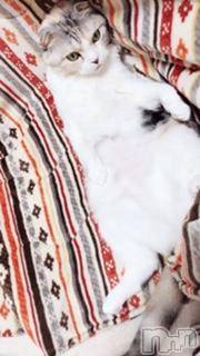 ��Ʋ����Х��顦����֥���ֲڲСݣȣ��Σ��£ɡ�(����֥ϥʥ�) �����5��29���̥�֥�����5��29�� 01��16ʬ�μ̥�֥�����