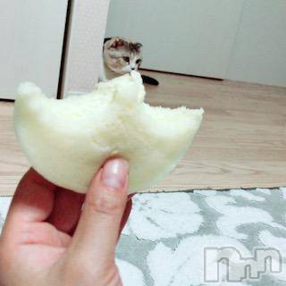 ��Ʋ����Х��顦����֥���ֲڲСݣȣ��Σ��£ɡ�(����֥ϥʥ�) �����6��8���̥�֥�����6��8�� 01��22ʬ�μ̥�֥�����