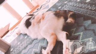 ��Ʋ����Х��顦����֥���ֲڲСݣȣ��Σ��£ɡ�(����֥ϥʥ�) �����6��26���̥�֥�����6��26�� 18��57ʬ�μ̥�֥�����