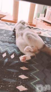 ��Ʋ����Х��顦����֥���ֲڲСݣȣ��Σ��£ɡ�(����֥ϥʥ�) �����6��28���̥�֥�����6��28�� 02��10ʬ�μ̥�֥�����