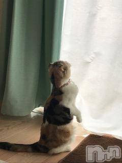 ��Ʋ����Х��顦����֥���ֲڲСݣȣ��Σ��£ɡ�(����֥ϥʥ�) �����6��29���̥�֥�����6��29�� 15��44ʬ�μ̥�֥�����