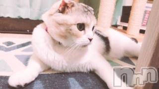 ��Ʋ����Х��顦����֥���ֲڲСݣȣ��Σ��£ɡ�(����֥ϥʥ�) �����7��4���̥�֥�����7��4�� 00��26ʬ�μ̥�֥�����