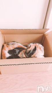 ��Ʋ����Х��顦����֥���ֲڲСݣȣ��Σ��£ɡ�(����֥ϥʥ�) �����7��9���̥�֥�����7��9�� 22��21ʬ�μ̥�֥�����