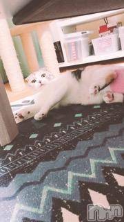 ��Ʋ����Х��顦����֥���ֲڲСݣȣ��Σ��£ɡ�(����֥ϥʥ�) �����7��18���̥�֥�����7��18�� 04��22ʬ�μ̥�֥�����