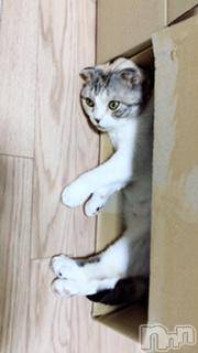 ��Ʋ����Х��顦����֥���ֲڲСݣȣ��Σ��£ɡ�(����֥ϥʥ�) �����7��29���̥�֥�����7��29�� 21��16ʬ�μ̥�֥�����