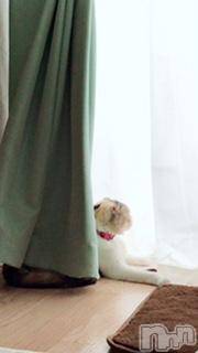 ��Ʋ����Х��顦����֥���ֲڲСݣȣ��Σ��£ɡ�(����֥ϥʥ�) �����8��16���̥�֥�����8��16�� 19��50ʬ�μ̥�֥�����