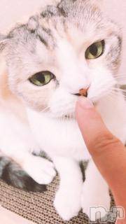 ��Ʋ����Х��顦����֥���ֲڲСݣȣ��Σ��£ɡ�(����֥ϥʥ�) �����8��19���̥�֥�����8��19�� 20��35ʬ�μ̥�֥�����