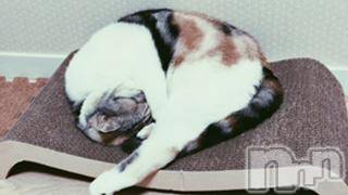 ��Ʋ����Х��顦����֥���ֲڲСݣȣ��Σ��£ɡ�(����֥ϥʥ�) �����8��22���̥�֥�����8��22�� 18��35ʬ�μ̥�֥�����