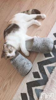 ��Ʋ����Х��顦����֥���ֲڲСݣȣ��Σ��£ɡ�(����֥ϥʥ�) �����9��5���̥�֥�����9��5�� 00��39ʬ�μ̥�֥�����