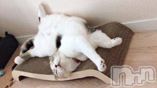 ��Ʋ����Х��顦����֥���ֲڲСݣȣ��Σ��£ɡ�(����֥ϥʥ�) �����9��13���̥�֥�����9��13�� 12��19ʬ�μ̥�֥�����