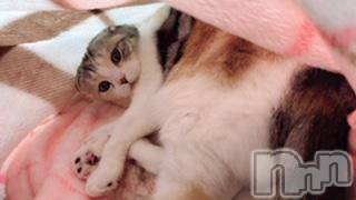 ��Ʋ����Х��顦����֥���ֲڲСݣȣ��Σ��£ɡ�(����֥ϥʥ�) �����9��20���̥�֥�����9��20�� 19��05ʬ�μ̥�֥�����