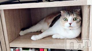 ��Ʋ����Х��顦����֥���ֲڲСݣȣ��Σ��£ɡ�(����֥ϥʥ�) �����9��28���̥�֥�����9��28�� 00��44ʬ�μ̥�֥�����