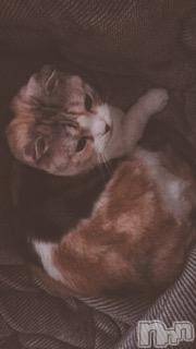 ��Ʋ����Х��顦����֥���ֲڲСݣȣ��Σ��£ɡ�(����֥ϥʥ�) �����10��27���̥�֥�����10��27�� 19��37ʬ�μ̥�֥�����