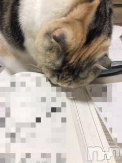 ��Ʋ����Х��顦����֥���ֲڲСݣȣ��Σ��£ɡ�(����֥ϥʥ�) �����11��5���̥�֥�����11��5�� 16��02ʬ�μ̥�֥�����