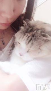 ��Ʋ����Х��顦����֥���ֲڲСݣȣ��Σ��£ɡ�(����֥ϥʥ�) �����12��5���̥�֥�����12��5�� 12��25ʬ�μ̥�֥�����