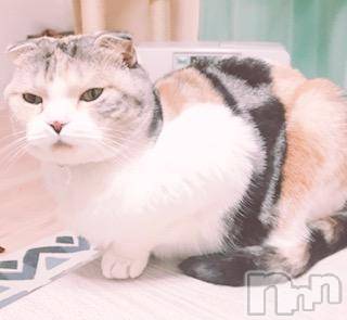 ��Ʋ����Х��顦����֥���ֲڲСݣȣ��Σ��£ɡ�(����֥ϥʥ�) �����12��12���̥�֥�����12��12�� 19��17ʬ�μ̥�֥�����