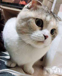 ��Ʋ����Х��顦����֥���ֲڲСݣȣ��Σ��£ɡ�(����֥ϥʥ�) �����12��18���̥�֥�����12��18�� 12��45ʬ�μ̥�֥�����