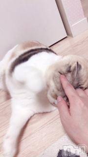 ��Ʋ����Х��顦����֥���ֲڲСݣȣ��Σ��£ɡ�(����֥ϥʥ�) �����1��29���̥�֥�����1��29�� 02��05ʬ�μ̥�֥�����