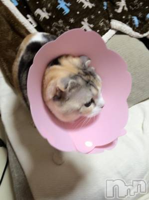 ��Ʋ����Х��顦����֥���ֲڲСݣȣ��Σ��£ɡ�(����֥ϥʥ�) �����1��29���̥�֥�����1��29�� 19��04ʬ�μ̥�֥�����