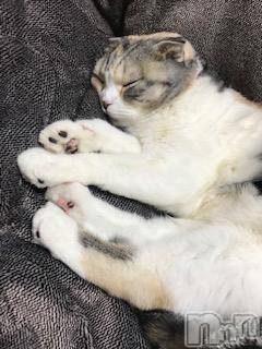 ��Ʋ����Х��顦����֥���ֲڲСݣȣ��Σ��£ɡ�(����֥ϥʥ�) �����2��16���̥�֥�����2��16�� 17��42ʬ�μ̥�֥�����