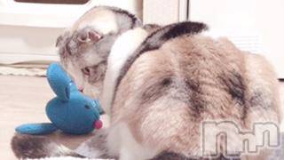 ��Ʋ����Х��顦����֥���ֲڲСݣȣ��Σ��£ɡ�(����֥ϥʥ�) �����3��3���̥�֥�����3��3�� 22��10ʬ�μ̥�֥�����