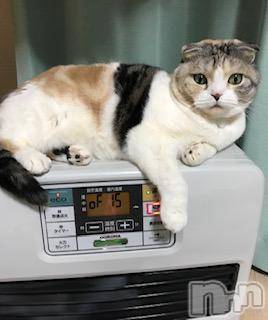 ��Ʋ����Х��顦����֥���ֲڲСݣȣ��Σ��£ɡ�(����֥ϥʥ�) �����3��4���̥�֥�����3��4�� 20��12ʬ�μ̥�֥�����