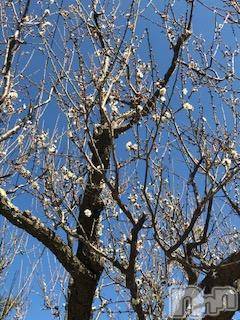 ��Ʋ����Х��顦����֥���ֲڲСݣȣ��Σ��£ɡ�(����֥ϥʥ�) �����3��24���̥�֥�����3��24�� 20��38ʬ�μ̥�֥�����