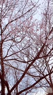 ��Ʋ����Х��顦����֥���ֲڲСݣȣ��Σ��£ɡ�(����֥ϥʥ�) �����4��9���̥�֥�����4��9�� 13��35ʬ�μ̥�֥�����