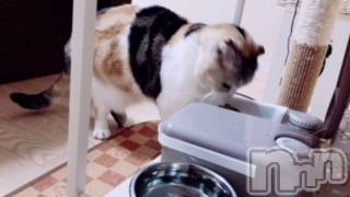 ��Ʋ����Х��顦����֥���ֲڲСݣȣ��Σ��£ɡ�(����֥ϥʥ�) �����4��18���̥�֥�����4��18�� 13��31ʬ�μ̥�֥�����