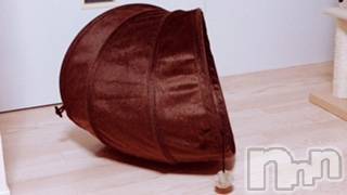 ��Ʋ����Х��顦����֥���ֲڲСݣȣ��Σ��£ɡ�(����֥ϥʥ�) �����5��11���̥�֥�����5��11�� 00��47ʬ�μ̥�֥�����