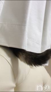 ��Ʋ����Х��顦����֥���ֲڲСݣȣ��Σ��£ɡ�(����֥ϥʥ�) �����6��6���̥�֥�����6��6�� 12��50ʬ�μ̥�֥�����