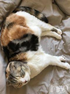 ��Ʋ����Х��顦����֥���ֲڲСݣȣ��Σ��£ɡ�(����֥ϥʥ�) �����6��9���̥�֥�����6��9�� 21��15ʬ�μ̥�֥�����