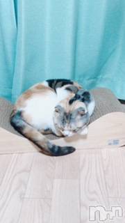 ��Ʋ����Х��顦����֥���ֲڲСݣȣ��Σ��£ɡ�(����֥ϥʥ�) �����6��16���̥�֥�����6��16�� 04��02ʬ�μ̥�֥�����