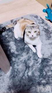 ��Ʋ����Х��顦����֥���ֲڲСݣȣ��Σ��£ɡ�(����֥ϥʥ�) �����6��16���̥�֥�����6��16�� 14��29ʬ�μ̥�֥�����