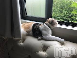 ��Ʋ����Х��顦����֥���ֲڲСݣȣ��Σ��£ɡ�(����֥ϥʥ�) �����6��23���̥�֥�����6��23�� 11��14ʬ�μ̥�֥�����