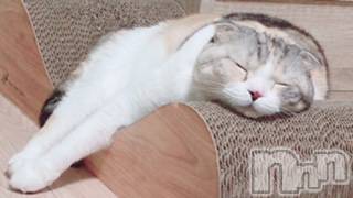 ��Ʋ����Х��顦����֥���ֲڲСݣȣ��Σ��£ɡ�(����֥ϥʥ�) �����7��16���̥�֥�����7��16�� 01��47ʬ�μ̥�֥�����