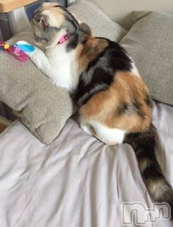 ��Ʋ����Х��顦����֥���ֲڲСݣȣ��Σ��£ɡ�(����֥ϥʥ�) �����8��7���̥�֥�����8��7�� 02��20ʬ�μ̥�֥�����