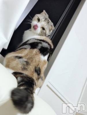 ��Ʋ����Х��顦����֥���ֲڲСݣȣ��Σ��£ɡ�(����֥ϥʥ�) �����8��27���̥�֥�����8��27�� 19��28ʬ�μ̥�֥�����