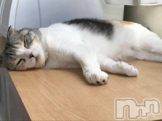 ��Ʋ����Х��顦����֥���ֲڲСݣȣ��Σ��£ɡ�(����֥ϥʥ�) �����9��12���̥�֥�����9��12�� 14��17ʬ�μ̥�֥�����