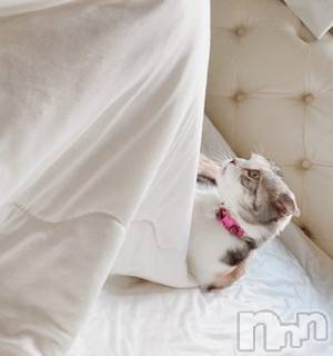 ��Ʋ����Х��顦����֥���ֲڲСݣȣ��Σ��£ɡ�(����֥ϥʥ�) �����9��14���̥�֥�����9��14�� 18��54ʬ�μ̥�֥�����