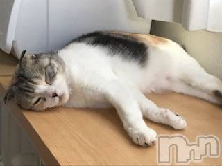 ��Ʋ����Х��顦����֥���ֲڲСݣȣ��Σ��£ɡ�(����֥ϥʥ�) �����9��22���̥�֥�����9��22�� 20��20ʬ�μ̥�֥�����